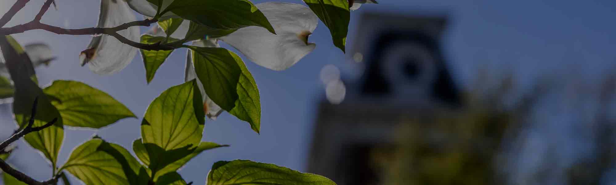 Spring 2024 Commencement University of Arkansas